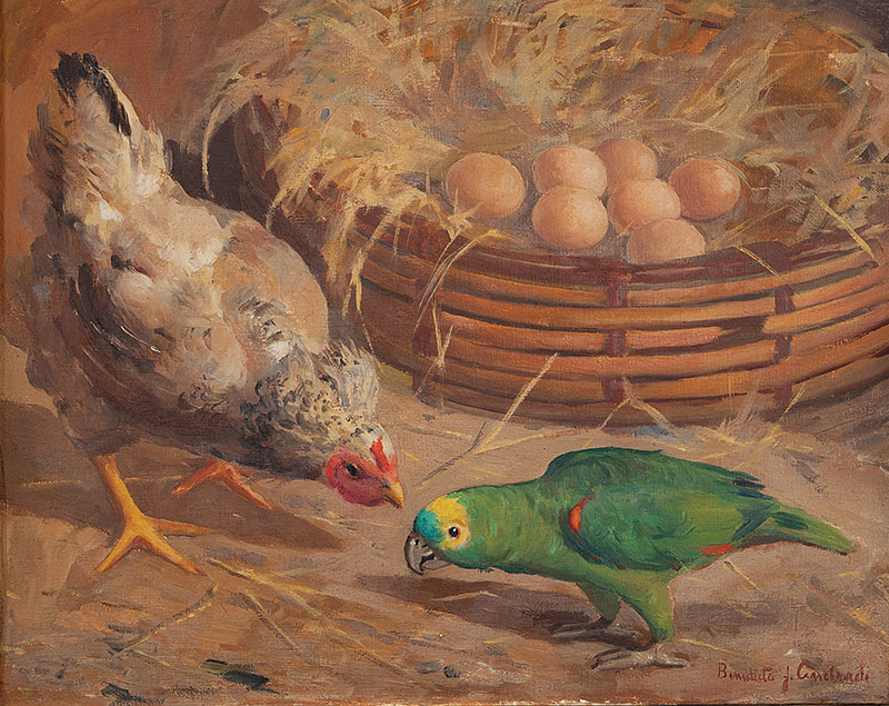 BENEDITO JOSÉ DE ANDRADE - `Papagaio e galinha` - Óleo sobre tela - Ass.inf.dir, ass. no verso ` 40 x 50 cm.
