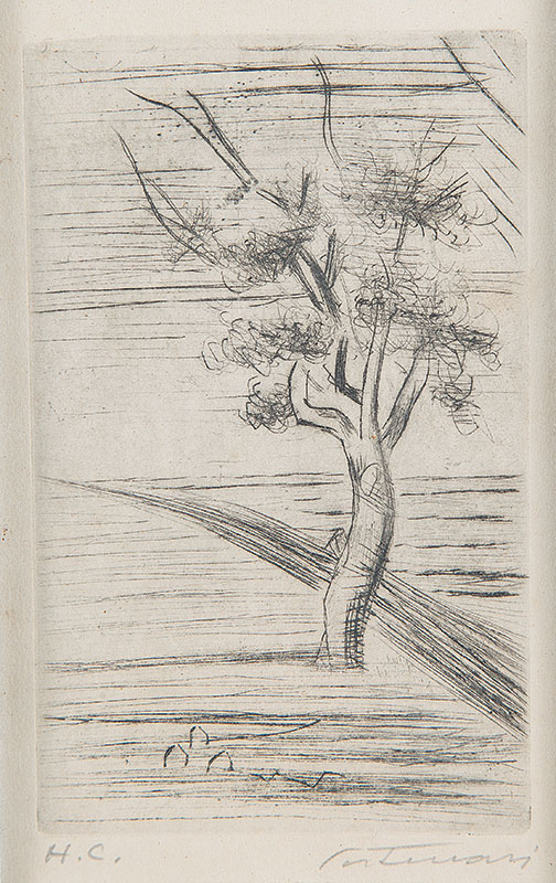 CANDIDO PORTINARI - `Árvore` Gravura em metal. H. C. Ass. inf. dir. 12 x 18 cm. Ex. Coleção Sylvia Sodré Assumpção.