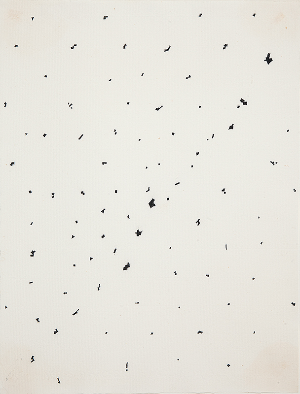 ARTHUR LUIZ PIZA - `Desenho 115 trabalhos recentes` - Nanquim sobre papel. 33 x 25 cm - Reproduzido no livro.