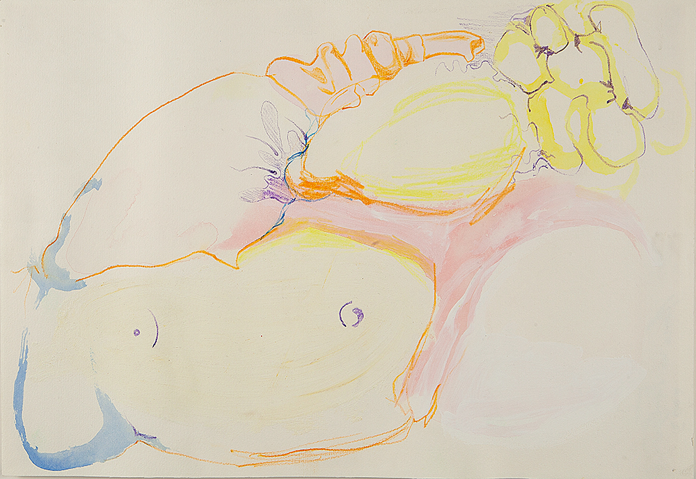 JANAINA TSCHÄPE -Microcosme 2 - Aquarela Sobre Papel - 2003 - 28 x 35 cm.Com etiqueta Art Concept no verso.